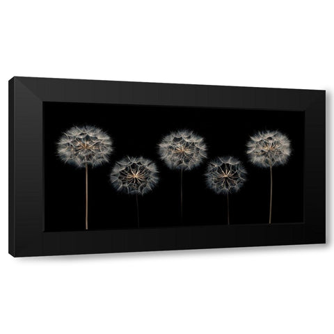 Make A Wish Black Modern Wood Framed Art Print with Double Matting by Frank, Assaf