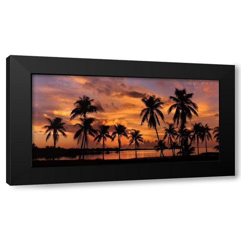 Tropical Sunsets I Black Modern Wood Framed Art Print with Double Matting by Jones, Mike