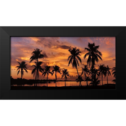 Tropical Sunsets I Black Modern Wood Framed Art Print by Jones, Mike