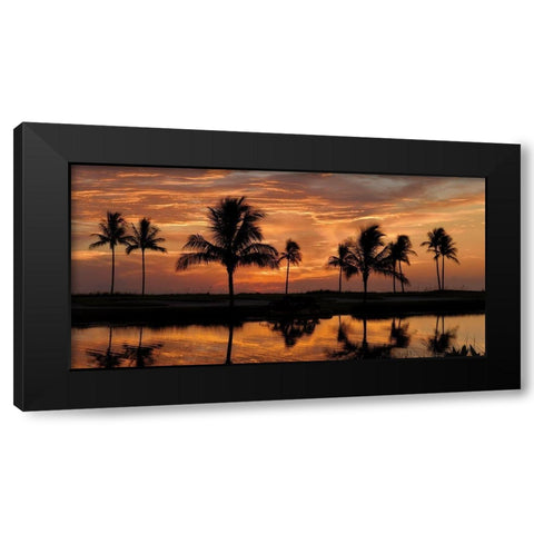 Tropical Sunsets II Black Modern Wood Framed Art Print by Jones, Mike