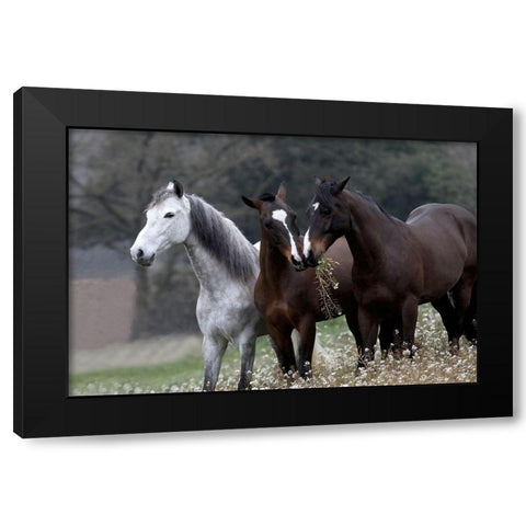 Threes Company Black Modern Wood Framed Art Print with Double Matting by Llovet, Jorge