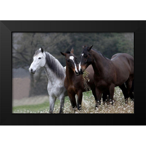 Threes Company Black Modern Wood Framed Art Print by Llovet, Jorge