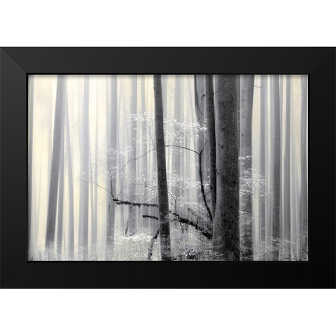 Still Silence Black Modern Wood Framed Art Print by Pelkey, Marvin