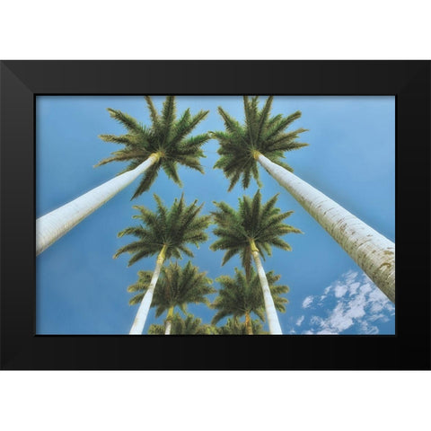 Looking Up  Black Modern Wood Framed Art Print by Frates, Dennis