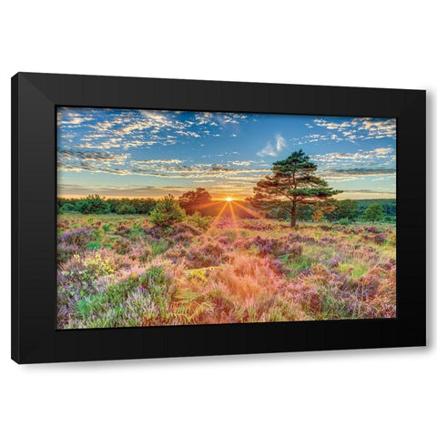 Heathland Sunset Black Modern Wood Framed Art Print with Double Matting by Frank, Assaf