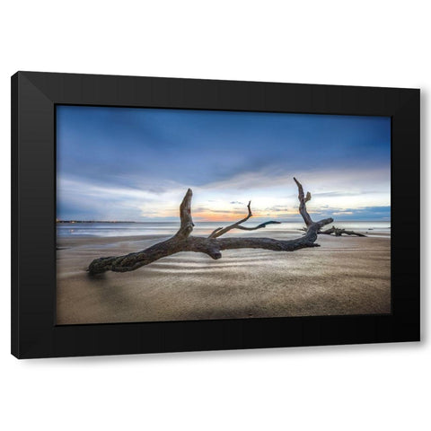 Bones Beach Black Modern Wood Framed Art Print by Celebrate Life Gallery