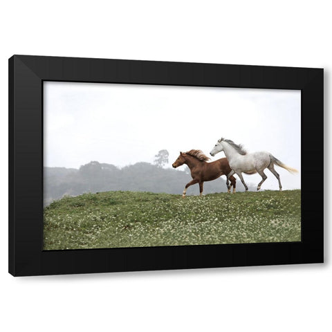 Together Forever Black Modern Wood Framed Art Print with Double Matting by Llovet, Jorge