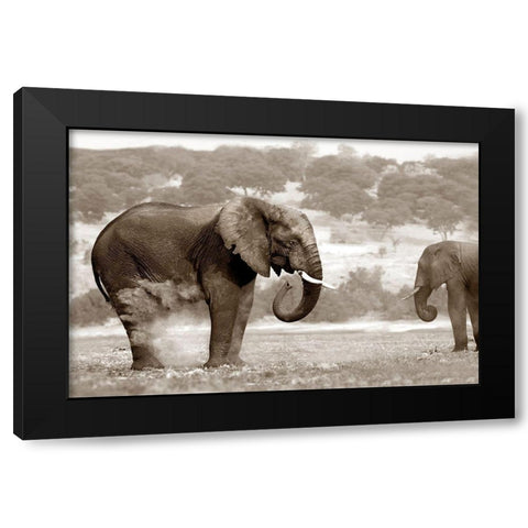 Bath Time Black Modern Wood Framed Art Print with Double Matting by Llovet, Jorge