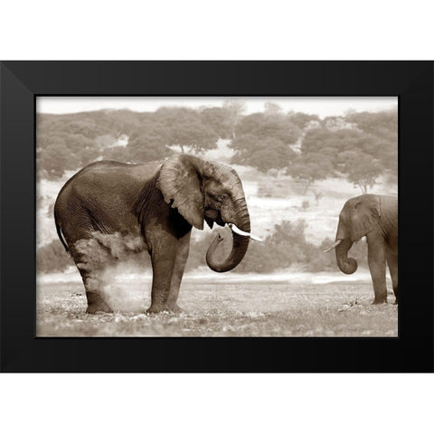 Bath Time Black Modern Wood Framed Art Print by Llovet, Jorge
