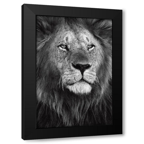 Pride Black Modern Wood Framed Art Print by Ortega, Xavier