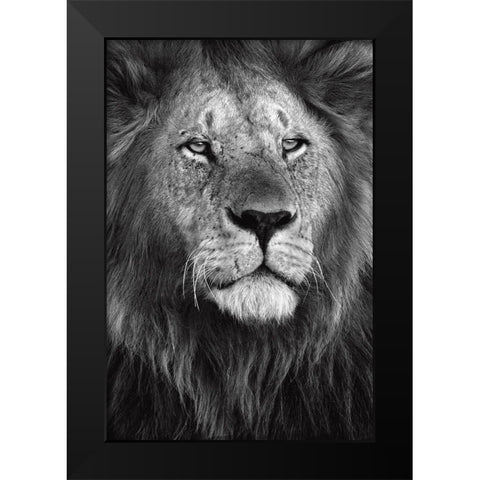 Pride Black Modern Wood Framed Art Print by Ortega, Xavier