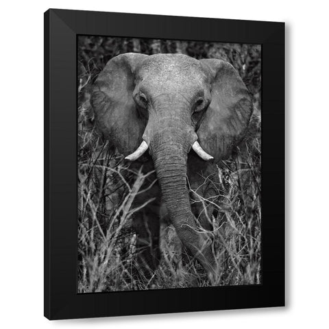 Strength Black Modern Wood Framed Art Print by Ortega, Xavier