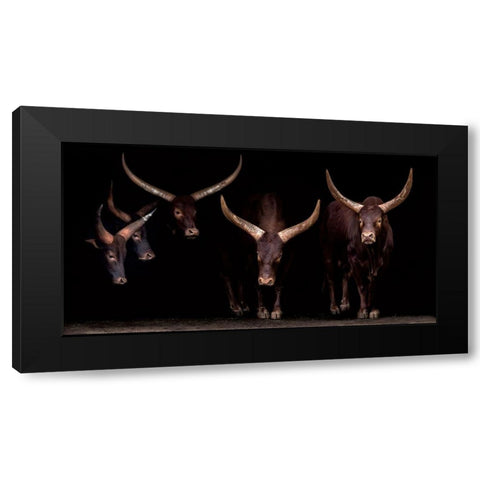 Syndicate Black Modern Wood Framed Art Print by Ortega, Xavier