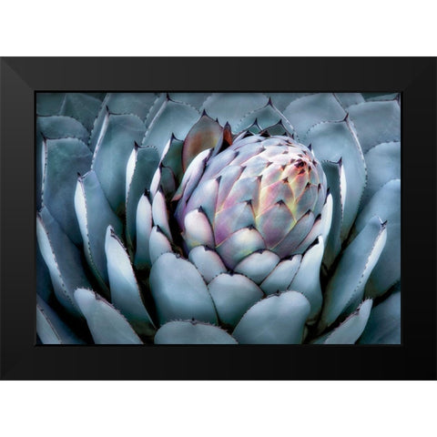 Blue Star Black Modern Wood Framed Art Print by Frates, Dennis