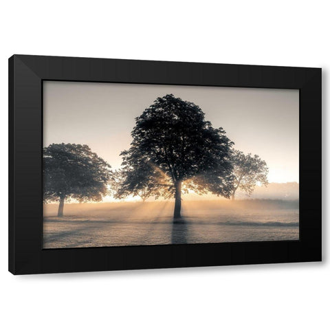 Hidden Treasure Black Modern Wood Framed Art Print by Frank, Assaf