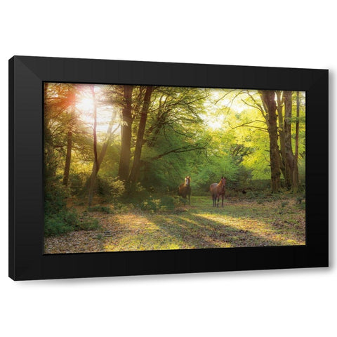 Good Morning Black Modern Wood Framed Art Print by Frank, Assaf