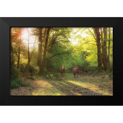 Good Morning Black Modern Wood Framed Art Print by Frank, Assaf