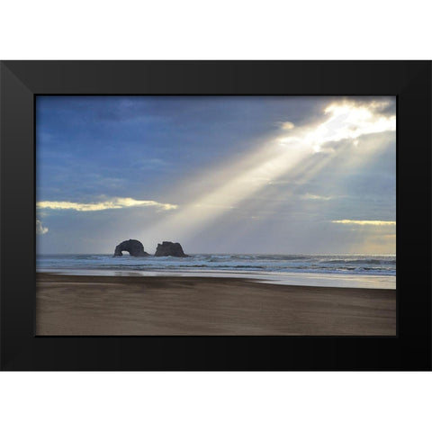 A Break of Sunshine Black Modern Wood Framed Art Print by Frates, Dennis