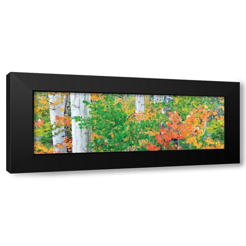 Forest Colors Black Modern Wood Framed Art Print by Frates, Dennis