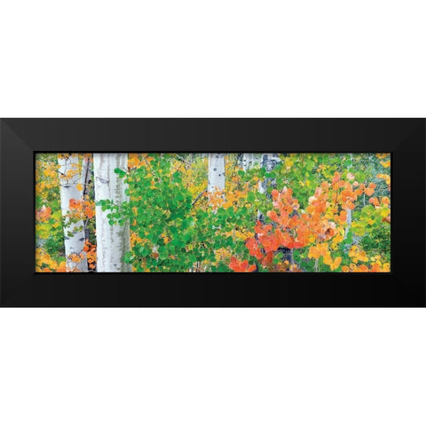 Forest Colors Black Modern Wood Framed Art Print by Frates, Dennis