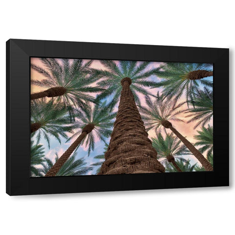 Tropical Views Black Modern Wood Framed Art Print by Frates, Dennis