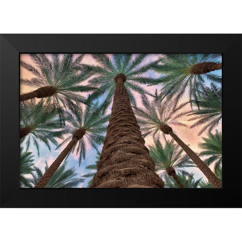 Tropical Views Black Modern Wood Framed Art Print by Frates, Dennis