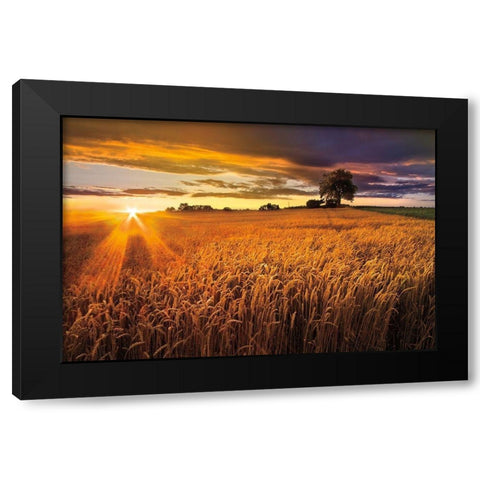Sunlight On the Wheat Fields Black Modern Wood Framed Art Print with Double Matting by Celebrate Life Gallery
