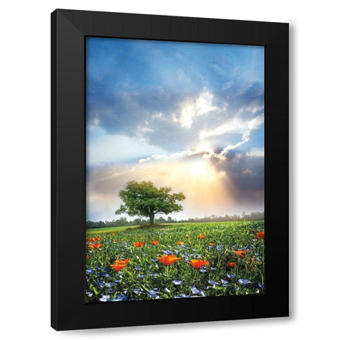 Glowing Sunset After the Rain Black Modern Wood Framed Art Print by Celebrate Life Gallery