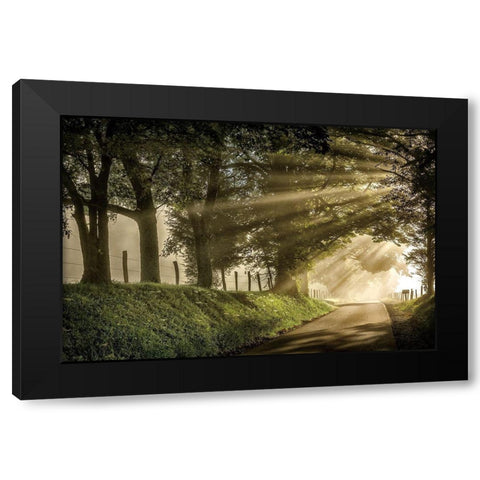All Aglow Black Modern Wood Framed Art Print with Double Matting by Burt, D.