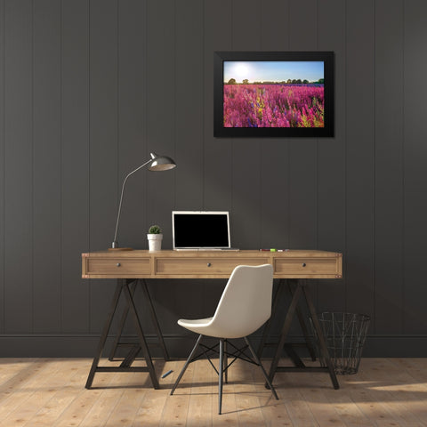 Delphinium Field Black Modern Wood Framed Art Print by Frank, Assaf