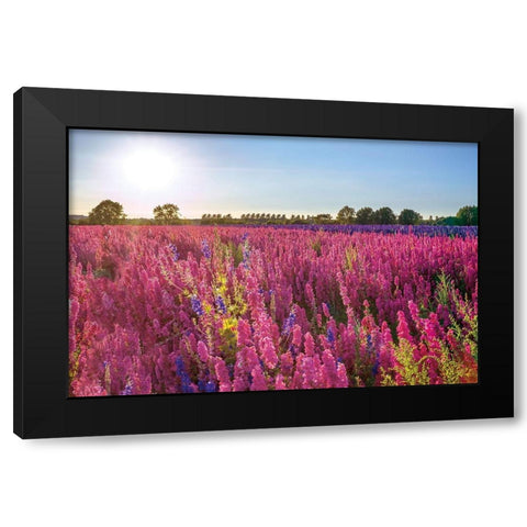 Delphinium Field Black Modern Wood Framed Art Print by Frank, Assaf