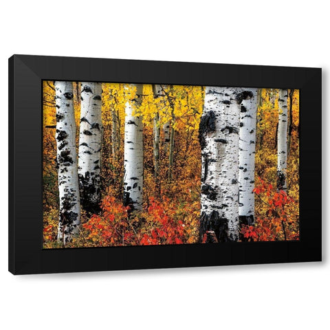 Band of Brothers Black Modern Wood Framed Art Print by Smith, Ken