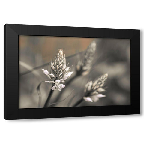 Up Close Black Modern Wood Framed Art Print by Frank, Assaf