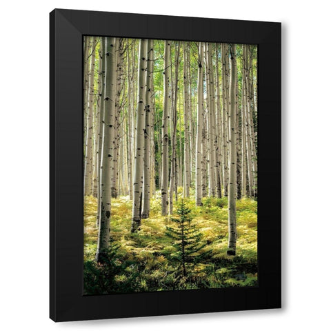 Small and Tall Black Modern Wood Framed Art Print with Double Matting by Small and Tall