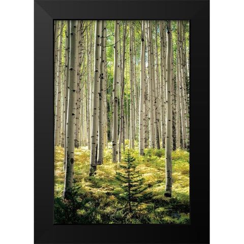 Small and Tall Black Modern Wood Framed Art Print by Small and Tall