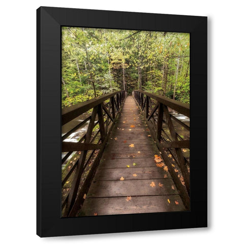 Autumns Bridge Black Modern Wood Framed Art Print by Burt, D.