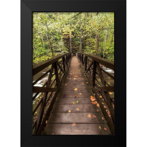 Autumns Bridge Black Modern Wood Framed Art Print by Burt, D.