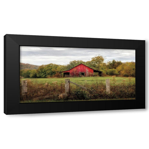 Down On The Farm Black Modern Wood Framed Art Print by Burt, D.