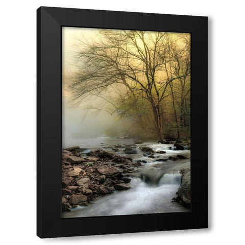 One Spring Morning Black Modern Wood Framed Art Print by Burt, D.