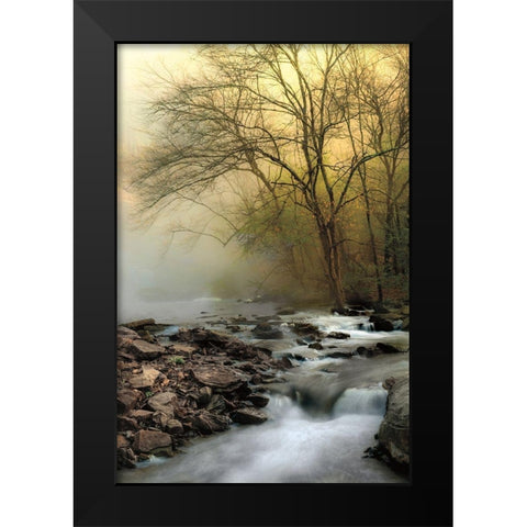 One Spring Morning Black Modern Wood Framed Art Print by Burt, D.
