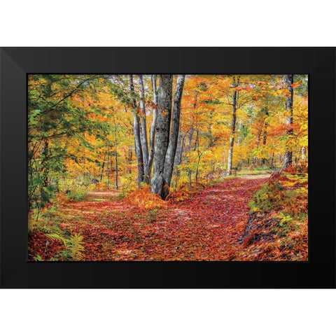 Full Path Black Modern Wood Framed Art Print by Howarth, Gail