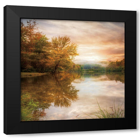 Fallen Leaves Black Modern Wood Framed Art Print with Double Matting by Celebrate Life Gallery