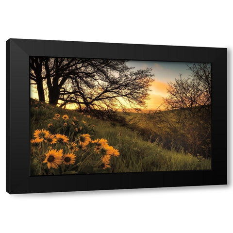 Sunrise Silhouette Black Modern Wood Framed Art Print by Burt, D.