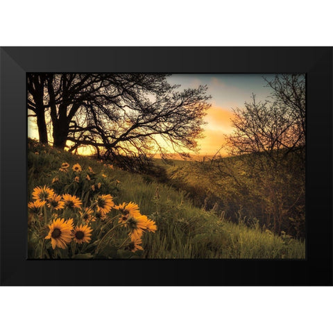 Sunrise Silhouette Black Modern Wood Framed Art Print by Burt, D.
