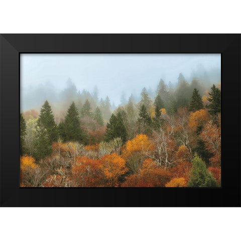 Autumn Mountain Black Modern Wood Framed Art Print by Burt, D.