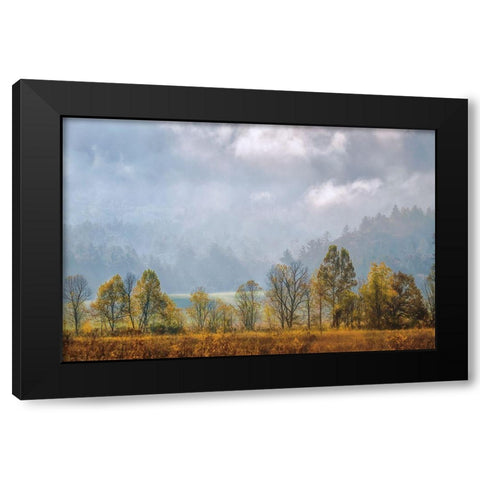 Lifting Fog Black Modern Wood Framed Art Print by Burt, D.