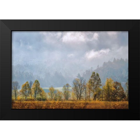 Lifting Fog Black Modern Wood Framed Art Print by Burt, D.