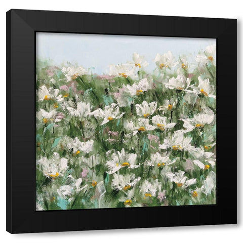 Daisy Field Black Modern Wood Framed Art Print with Double Matting by Bell, Emma