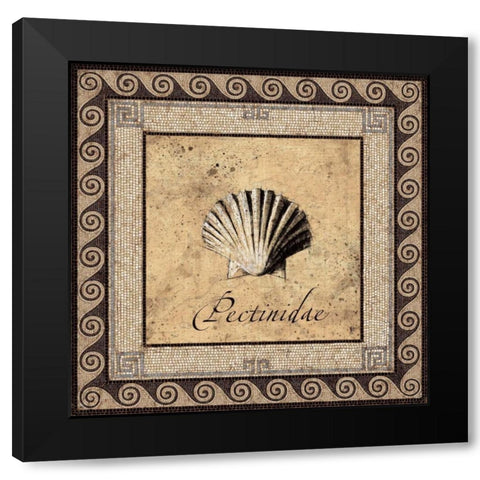Shell Works II Black Modern Wood Framed Art Print with Double Matting by Panossian, Paul