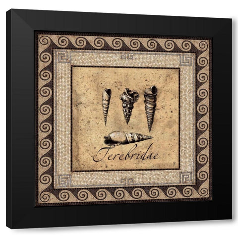 Shell Works IV Black Modern Wood Framed Art Print with Double Matting by Panossian, Paul
